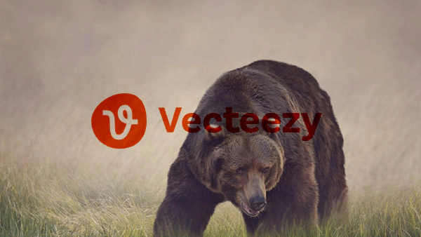 Videezy 国外高清视频分享,部分可免费商用