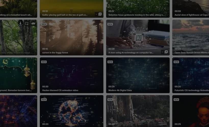 免费商用视频素材