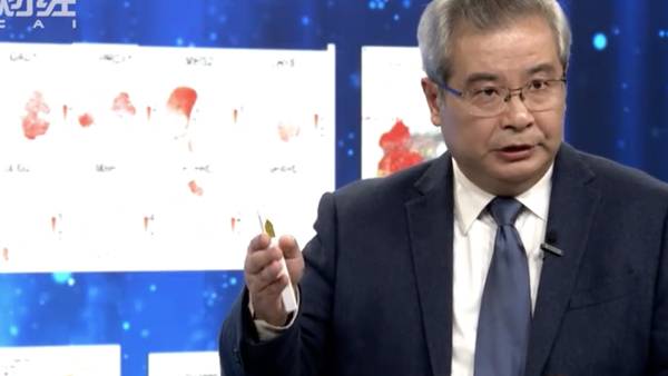 张旭院士谈未来智能《脑科学 打开人工智能产业的金钥匙》