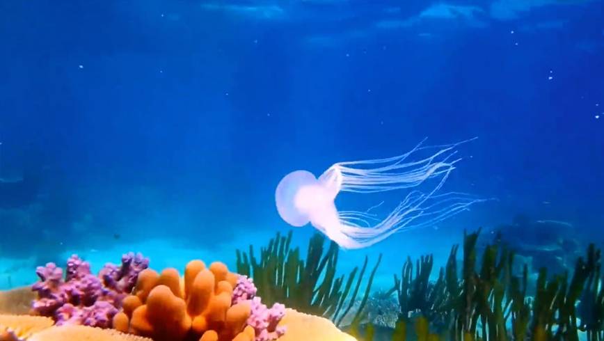 突发！无限时长视频模型开源，一句话生成10分钟视频